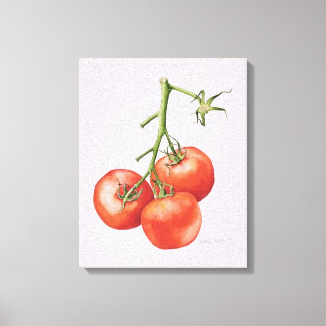 Three Tomatoes on the Vine 1997 Canvas Print (Front)