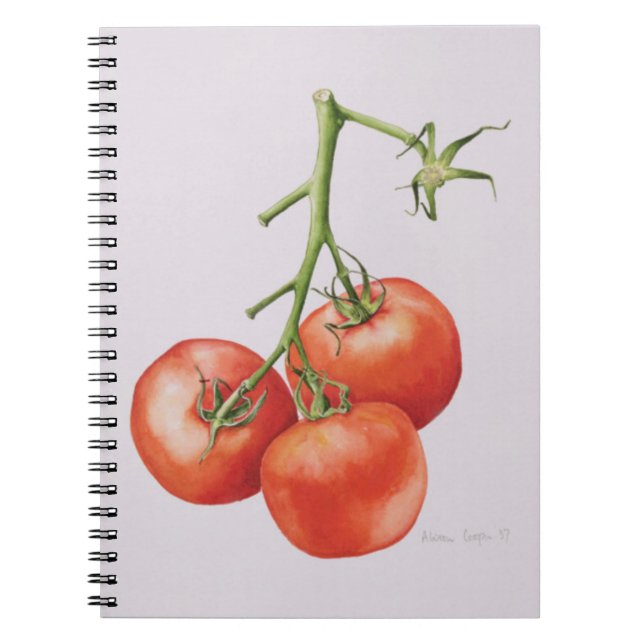 Three Tomatoes on the Vine 1997 Notebook (Front)