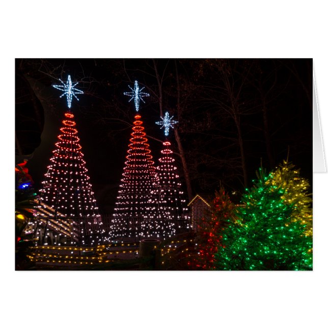 Three Trees At Midtown (Front Horizontal)