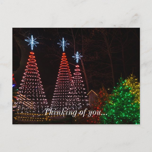 Three Trees At Midtown Postcard (Front)