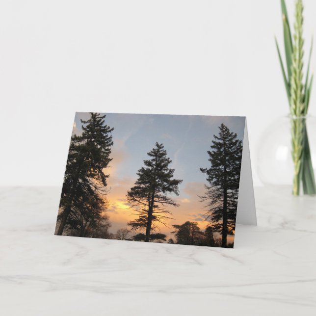 Three Trees at Winter Sunset Holiday Card (Front)