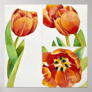 Three tulip studies in a sure 2013 poster