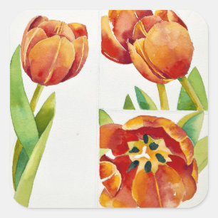 Three tulip studies in a sure 2013 square sticker