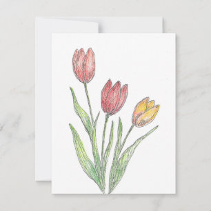 Three Tulips Coloured Pencil, Pen & Ink Sketch Card