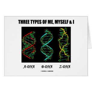 Three Types Of Me, Myself & I (A-DNA B-DNA Z-DNA)