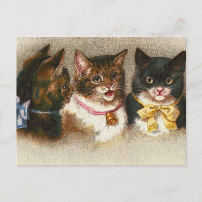 "Three Vintage Cats" Postcard (Front)