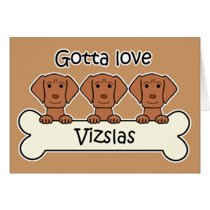 Three Vizslas