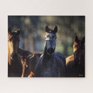 Three Warmbloods Standing together backlit Jigsaw Puzzle