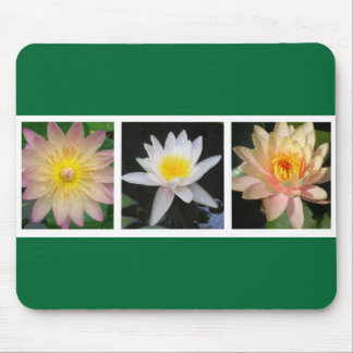 Three Water Lilies Filmstrip Mouse Pad