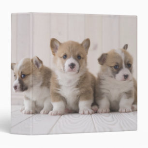 Three Welsh Corgi Binder