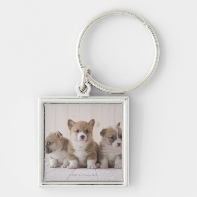 Three Welsh Corgi Keychain (Front)