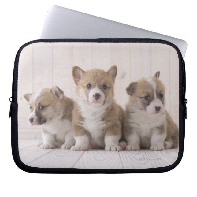 Three Welsh Corgi Laptop Sleeve (Front)