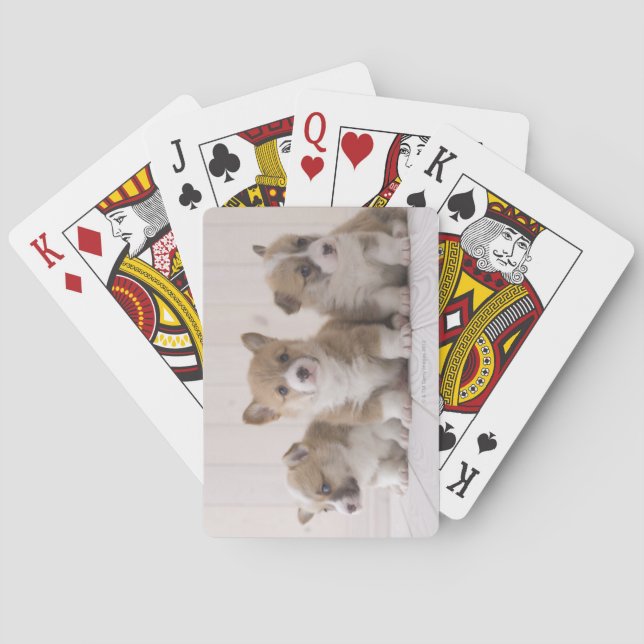 Three Welsh Corgi Playing Cards (Back)