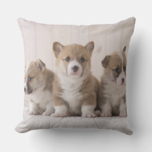 Three Welsh Corgi Throw Pillow