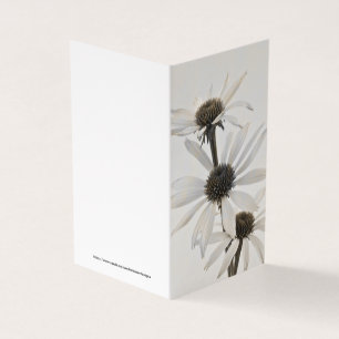 Three White Cone Flowers Card
