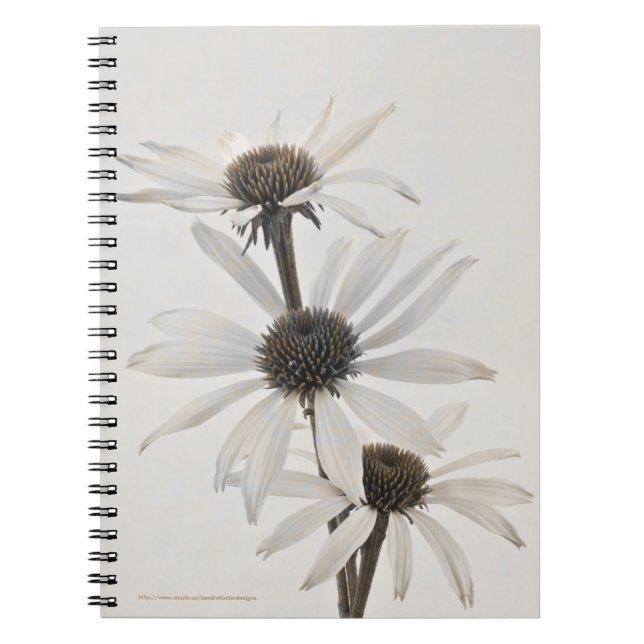 Three White Cone Flowers Notebook (Front)
