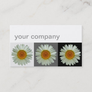 Three White Daisies Modern Floral Business Card