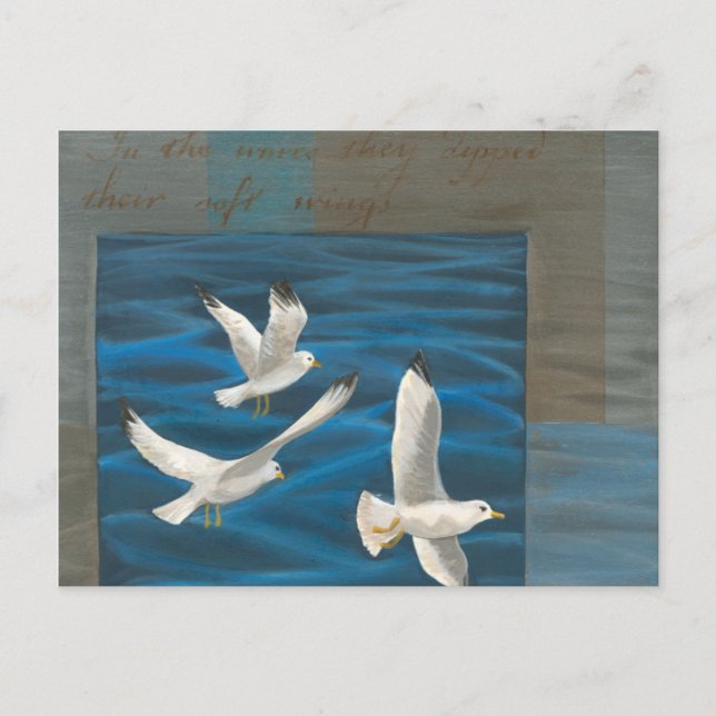 Three White Seagulls Flying Over the Water Postcard (Front)