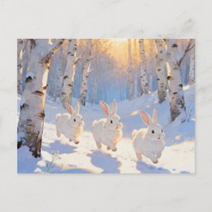 Three White Winter Rabbits Postcard