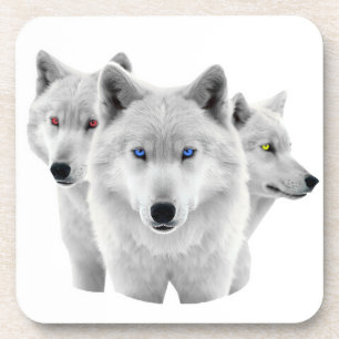 Three White Wolves Coaster