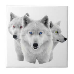 Three White Wolves Tile