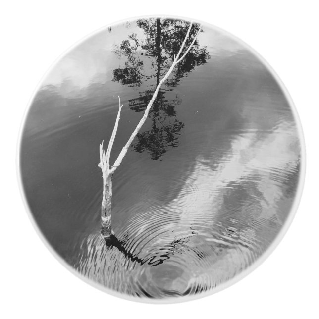 Three Worlds Water Swirl Reflection Ceramic Knob (Front)