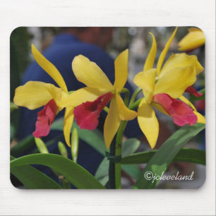 Three Yellow and Red Orchids Mouse Pad