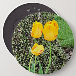 Three Yellow Tulips / 6 Inch Round Button
