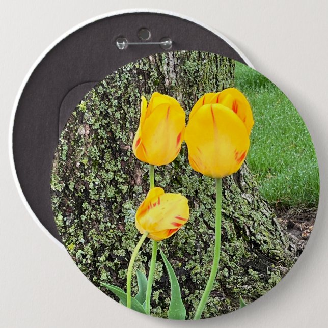 Three Yellow Tulips / 6 Inch Round Button (Front & Back)