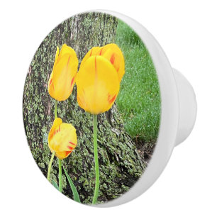 Three Yellow Tulips / Ceramic Knob