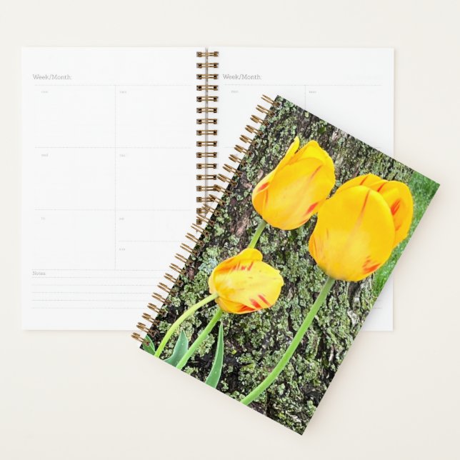 Three Yellow Tulips / Planner (Display)