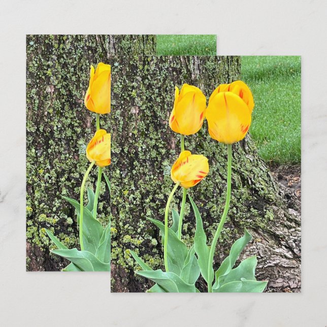 Three Yellow Tulips / Scrapbook Paper (Front/Back)
