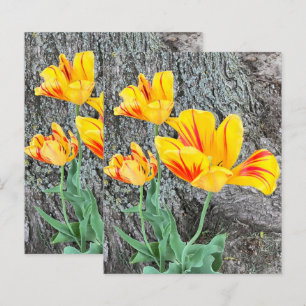 Three Yellow Tulips Sequel / Scrapbook Paper