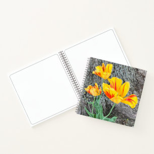Three Yellow Tulips Sequel / Sketch Notebook
