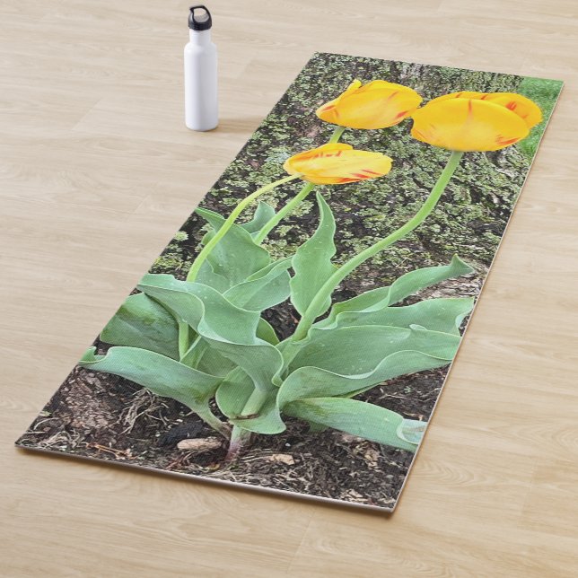 Three Yellow Tulips / Yoga Mat (In Situ)
