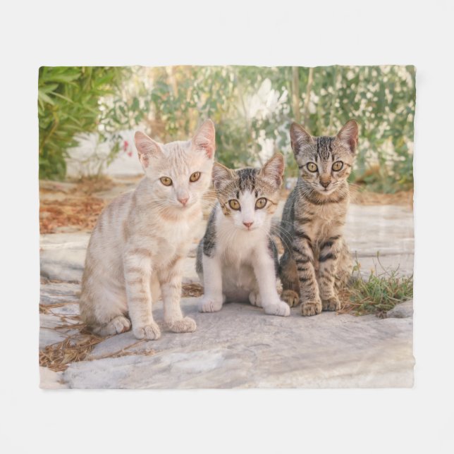 Three young cute cat kittens sit friendly together fleece blanket (Front (Horizontal))