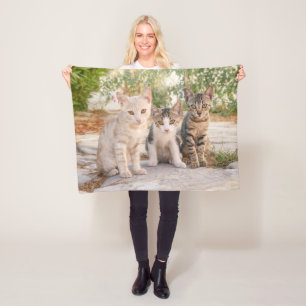 Three young cute cat kittens sit friendly together fleece blanket