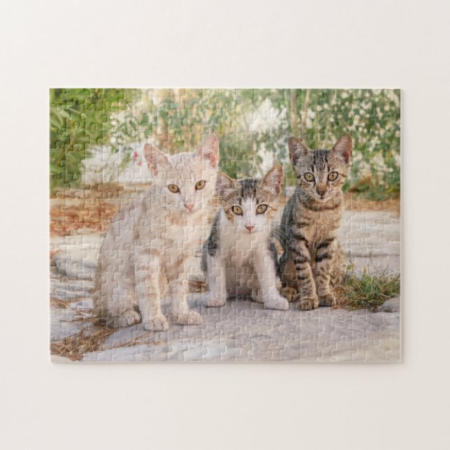 Three young cute cat kittens sit friendly together jigsaw puzzle (Horizontal)