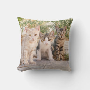 Three young cute cat kittens sit friendly together throw pillow