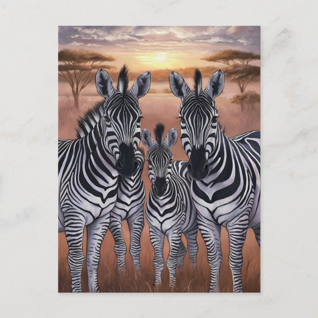 Three Zebras Grazing in Meadow Postcard (Front)