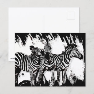 Three Zebras Painting Postcard