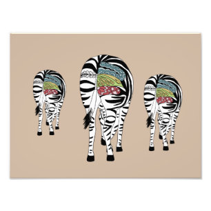 Three zebras photo print