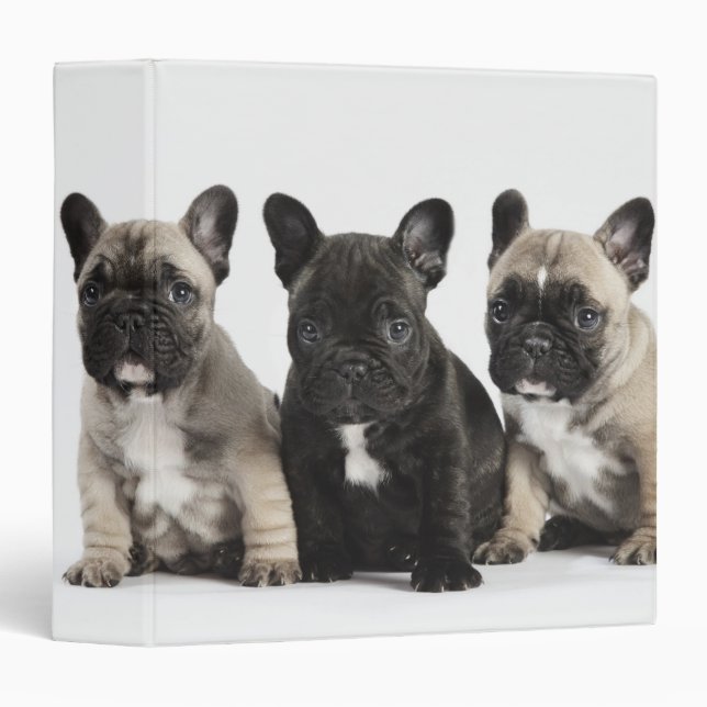 Threee Pedigree Puppies Binder (Front/Spine)