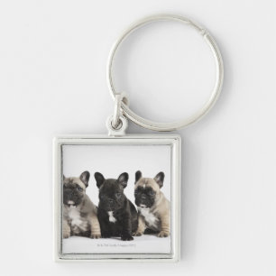 Threee Pedigree Puppies Keychain