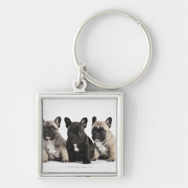 Threee Pedigree Puppies Keychain (Front)