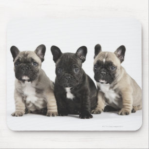 Threee Pedigree Puppies Mouse Pad
