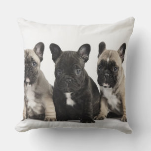 Threee Pedigree Puppies Throw Pillow