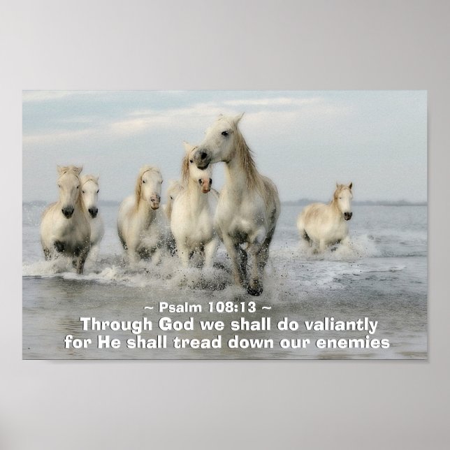 Through God we shall do Valiantly Psalm 108:13 Poster (Front)