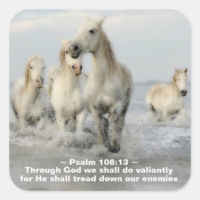 Through God we shall do Valiantly Psalm 108:13 Square Sticker (Front)