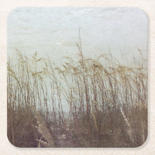 Through the Dunes II Square Paper Coaster